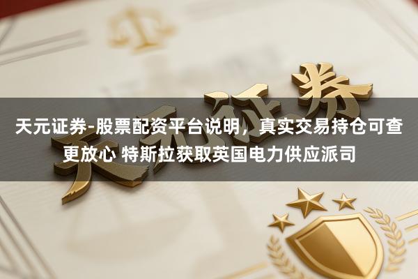 天元证券-股票配资平台说明，真实交易持仓可查更放心 特斯拉获取英国电力供应派司