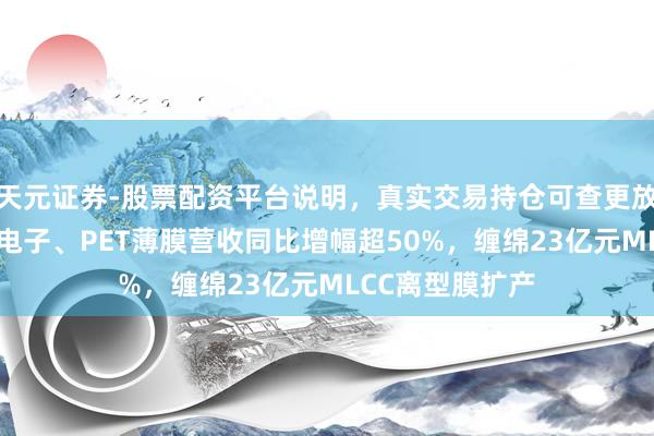 天元证券-股票配资平台说明，真实交易持仓可查更放心 斯迪克：微电子、PET薄膜营收同比增幅超50%，缠绵23亿元MLCC离型膜扩产